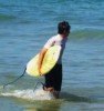 AlexSearch image 2