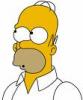 Album de homer