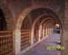 ifolki image 29