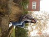 julien51120 image 1