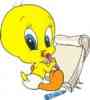 lyly314 image 2