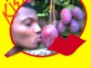 mirlyass image 7