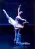 Nono88 image 2