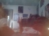 NirvanaPeace image 2