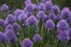 Photographe59300 image 2