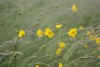 Photographe59300 image 7
