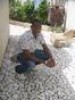 Album de samoura
