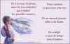 skap31 image 15