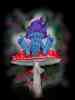 skap31 image 27
