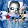 lue22 image 1